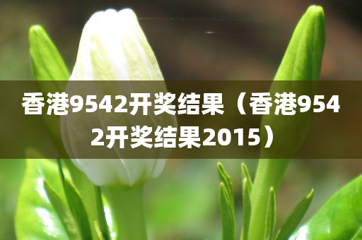 香港9542开奖结果（香港9542开奖结果2015）