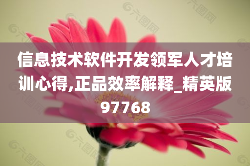 信息技术软件开发领军人才培训心得,正品效率解释_精英版97768