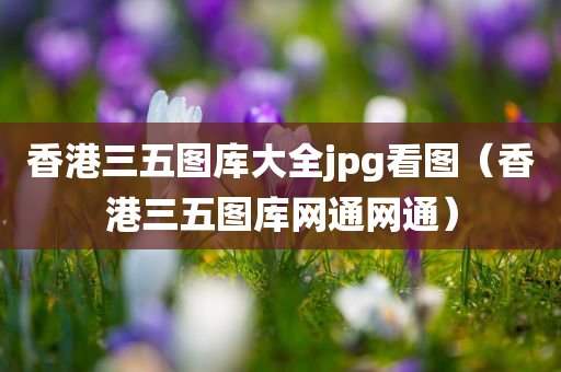 香港三五图库大全jpg看图（香港三五图库网通网通）