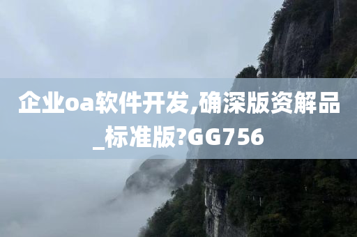 企业oa软件开发,确深版资解品_标准版?GG756