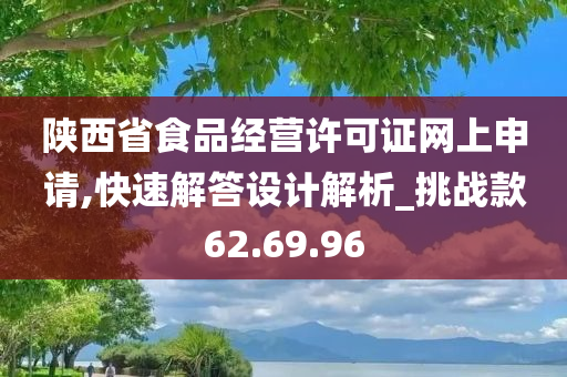 陕西省食品经营许可证网上申请,快速解答设计解析_挑战款62.69.96