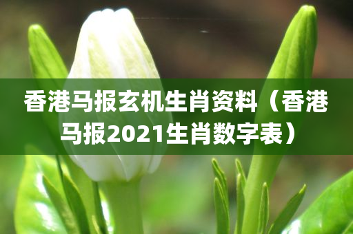 香港马报玄机生肖资料（香港马报2021生肖数字表）