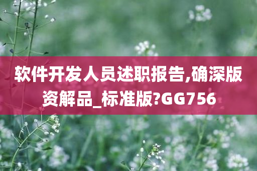 软件开发人员述职报告,确深版资解品_标准版?GG756