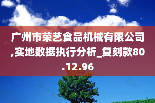 广州市荣艺食品机械有限公司,实地数据执行分析_复刻款80.12.96