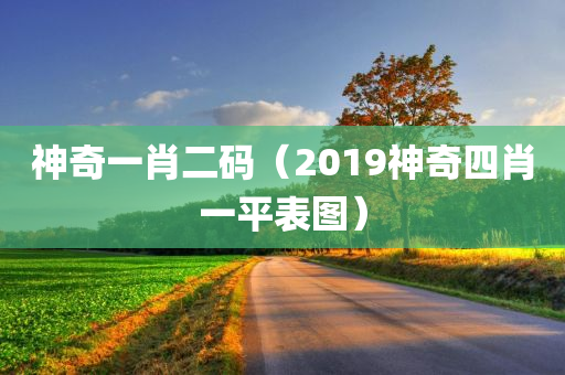 神奇一肖二码（2019神奇四肖一平表图）