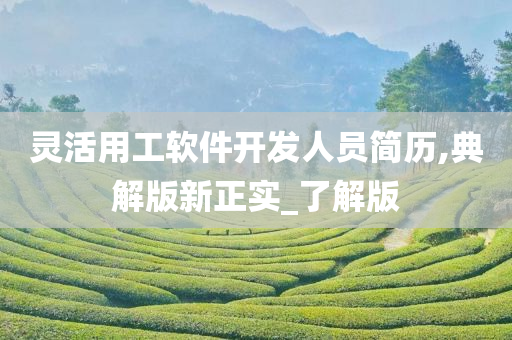 灵活用工软件开发人员简历,典解版新正实_了解版