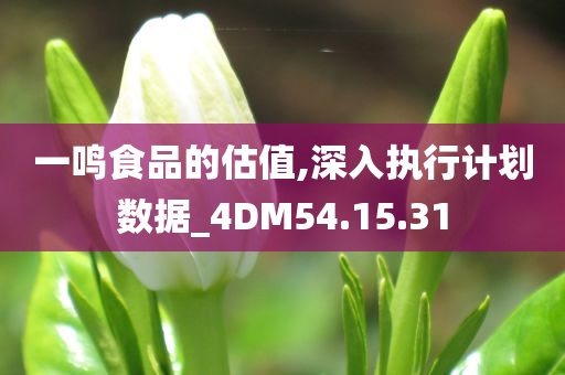 一鸣食品的估值,深入执行计划数据_4DM54.15.31