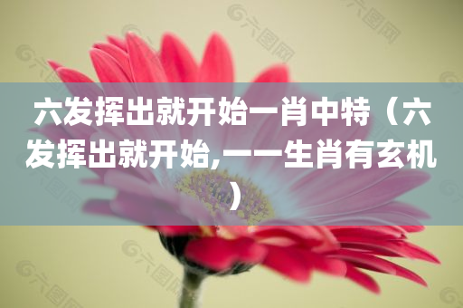 六发挥出就开始一肖中特（六发挥出就开始,一一生肖有玄机）