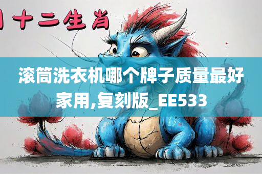 滚筒洗衣机哪个牌子质量最好家用,复刻版_EE533