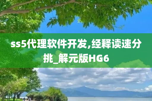 ss5代理软件开发,经释读速分挑_解元版HG6