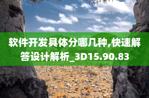 软件开发具体分哪几种,快速解答设计解析_3D15.90.83