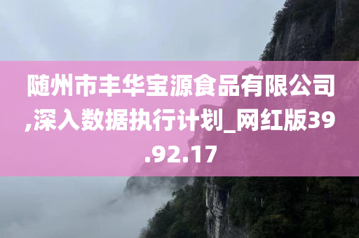 随州市丰华宝源食品有限公司,深入数据执行计划_网红版39.92.17