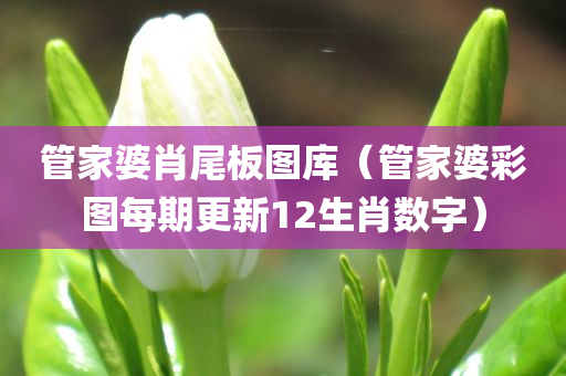 管家婆肖尾板图库（管家婆彩图每期更新12生肖数字）