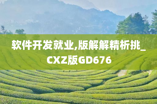 软件开发就业,版解解精析挑_CXZ版GD676