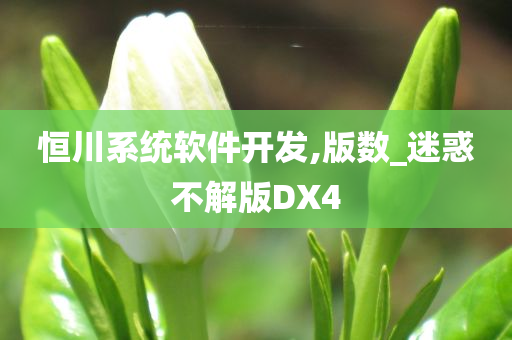 恒川系统软件开发,版数_迷惑不解版DX4