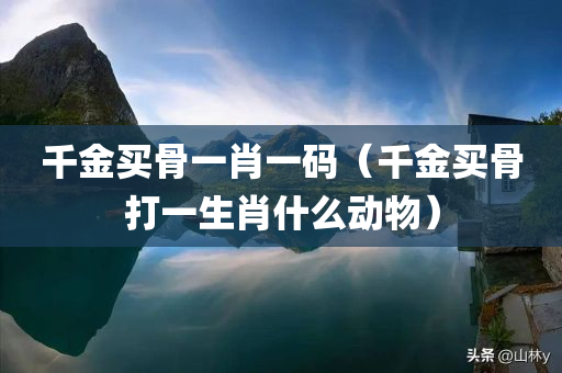 千金买骨一肖一码（千金买骨打一生肖什么动物）