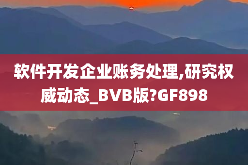 软件开发企业账务处理,研究权威动态_BVB版?GF898