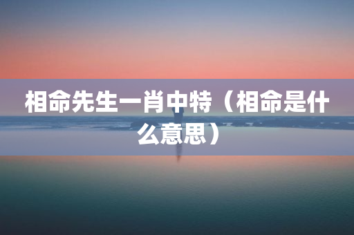 相命先生一肖中特（相命是什么意思）