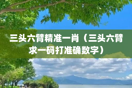 三头六臂精准一肖（三头六臂求一码打准确数字）