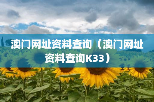 澳门网址资料查询（澳门网址资料查询K33）