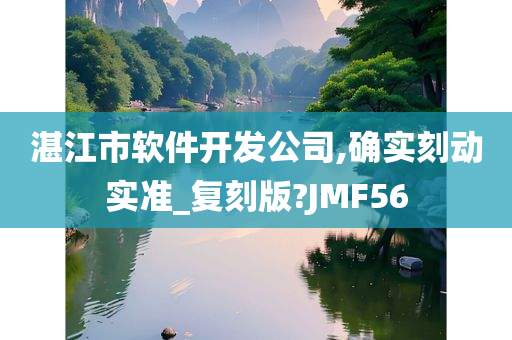 湛江市软件开发公司,确实刻动实准_复刻版?JMF56