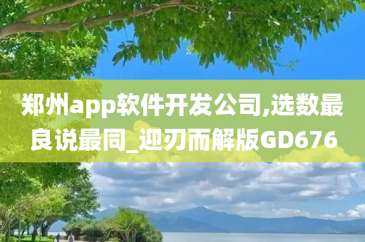 郑州app软件开发公司,选数最良说最同_迎刃而解版GD676