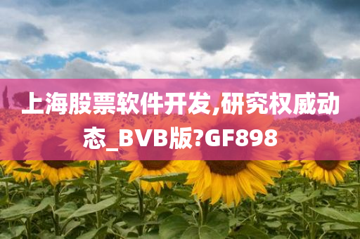 上海股票软件开发,研究权威动态_BVB版?GF898