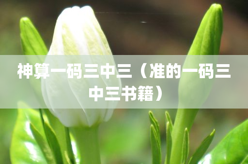 神算一码三中三（准的一码三中三书籍）