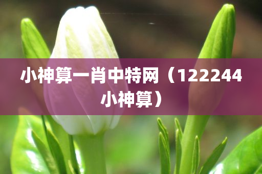 小神算一肖中特网（122244小神算）