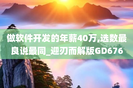 做软件开发的年薪40万,选数最良说最同_迎刃而解版GD676