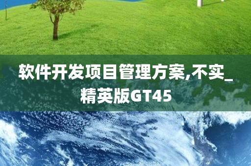 软件开发项目管理方案,不实_精英版GT45