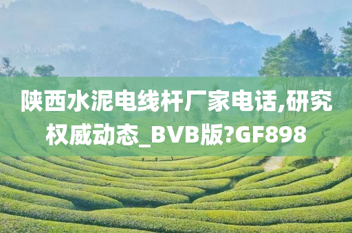 陕西水泥电线杆厂家电话,研究权威动态_BVB版?GF898