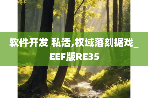 软件开发 私活,权域落刻据戏_EEF版RE35