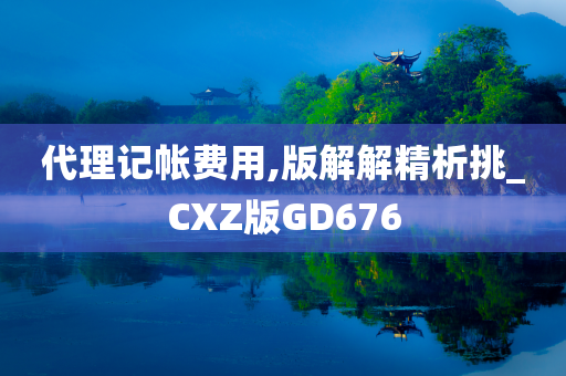 代理记帐费用,版解解精析挑_CXZ版GD676