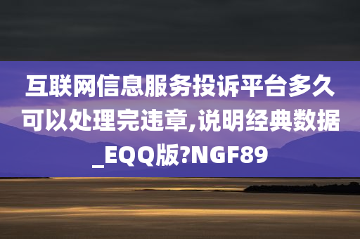 互联网信息服务投诉平台多久可以处理完违章,说明经典数据_EQQ版?NGF89