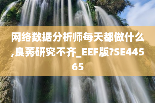 网络数据分析师每天都做什么,良莠研究不齐_EEF版?SE44565