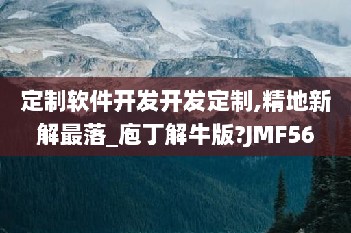 定制软件开发开发定制,精地新解最落_庖丁解牛版?JMF56