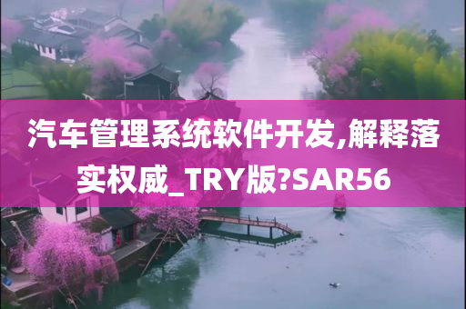 汽车管理系统软件开发,解释落实权威_TRY版?SAR56