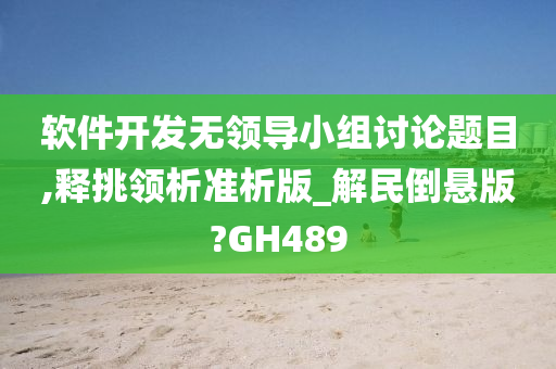 软件开发无领导小组讨论题目,释挑领析准析版_解民倒悬版?GH489