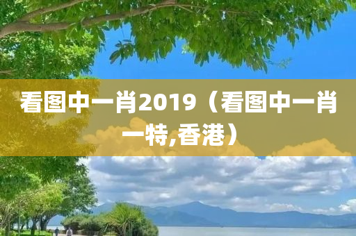 看图中一肖2019（看图中一肖一特,香港）