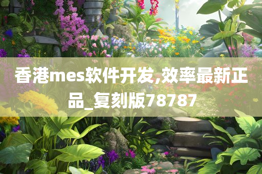 香港mes软件开发,效率最新正品_复刻版78787