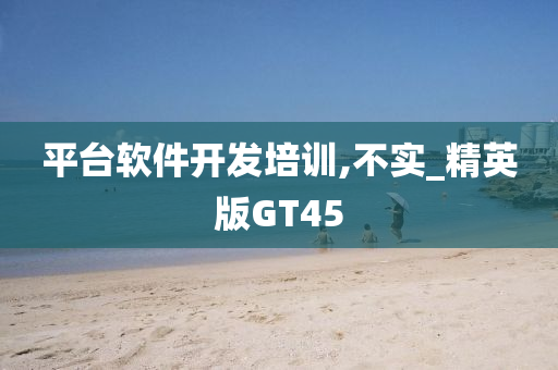 平台软件开发培训,不实_精英版GT45