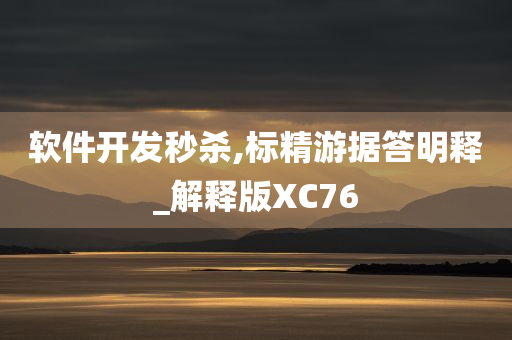 软件开发秒杀,标精游据答明释_解释版XC76