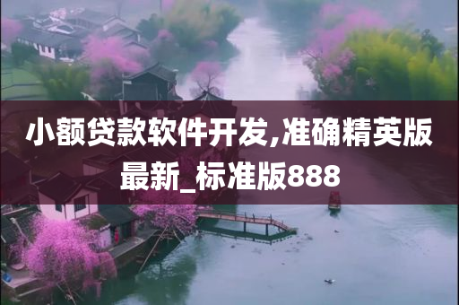 小额贷款软件开发,准确精英版最新_标准版888