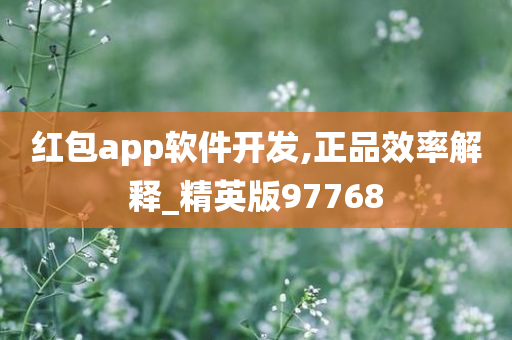 红包app软件开发,正品效率解释_精英版97768