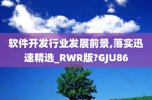 软件开发行业发展前景,落实迅速精选_RWR版?GJU86