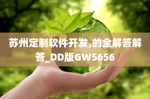 苏州定制软件开发,的全解答解答_DD版GW5656