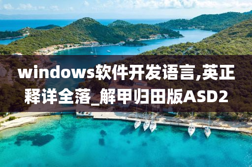 windows软件开发语言,英正释详全落_解甲归田版ASD2