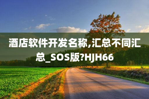 酒店软件开发名称,汇总不同汇总_SOS版?HJH66