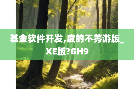 基金软件开发,度的不莠游版_XE版?GH9